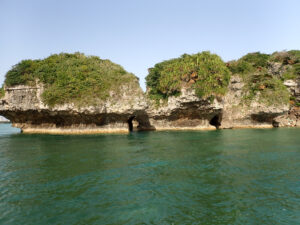 e3401a_c02cccf6efa14443b58467eeae766df1~mv2