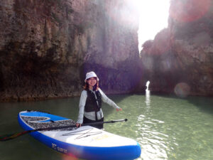 e3401a_fc547c9325ea481ca97eb15e104a4c6d~mv2