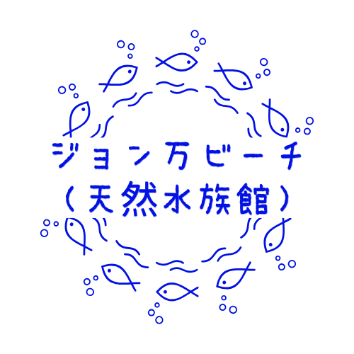 こだわり