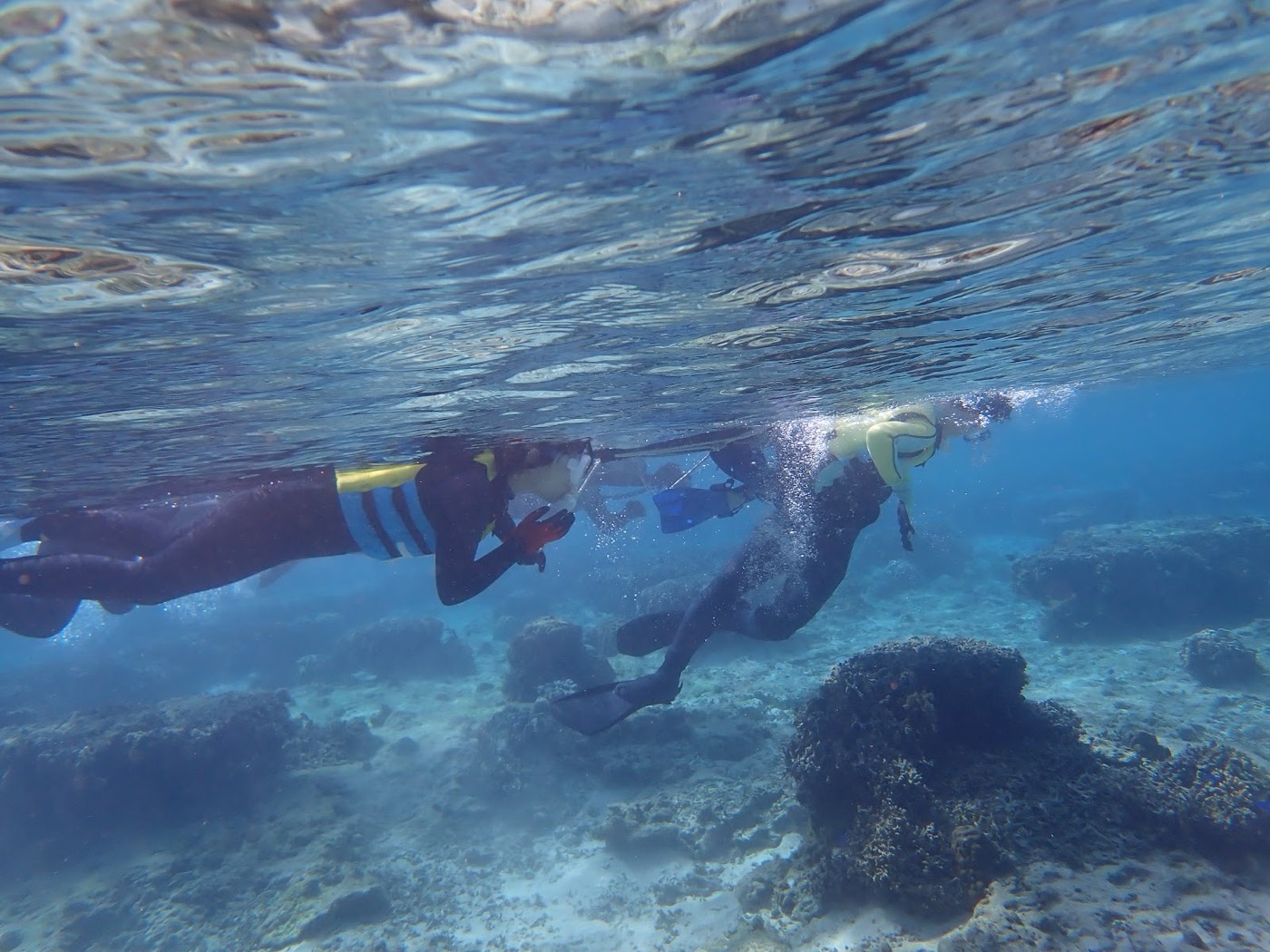 シュノーケルを楽しむグループが水面に浮かび、その下にはサンゴと海底の様子が広がる