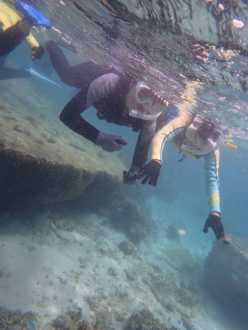 スタッフが浅瀬で参加者のマスクとシュノーケルを調整している天然水族感