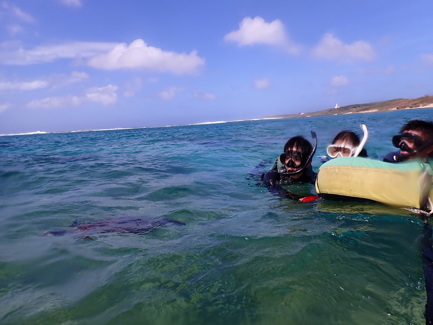 大度海岸の遠浅の海で水面に浮かび、景色を眺める参加者とウミガメ