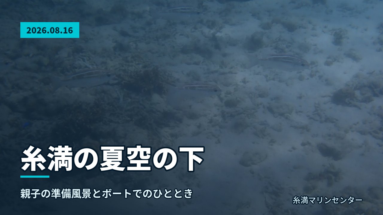 自然体験シュノーケルで紹介する沖縄の海の様子