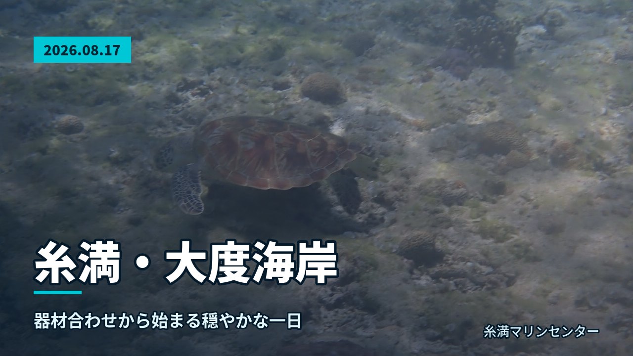 自然体験シュノーケルで紹介する沖縄の海の様子