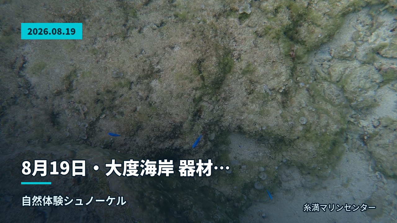 大人の女性参加者が笑顔でポーズ、準備中