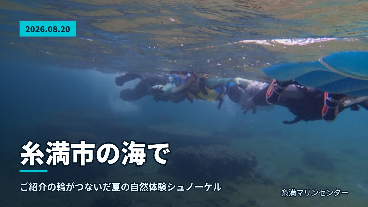 透明感のある海面近くを連なって泳ぐ参加者たち、漂う明るい海