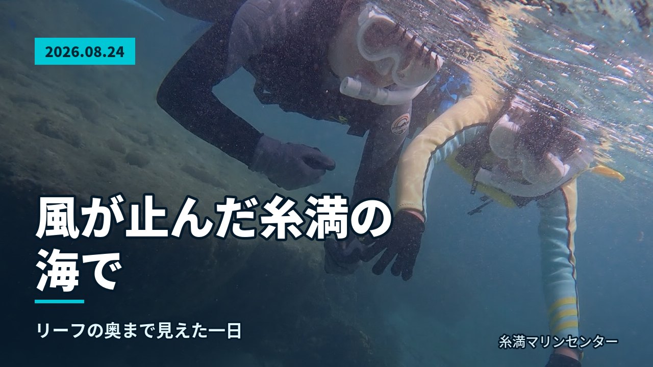 スタッフが浅瀬で参加者のマスクとシュノーケルを調整している