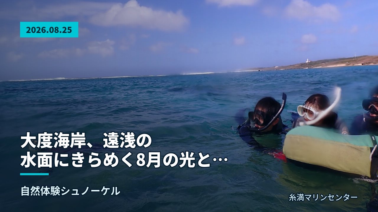 大度海岸の遠浅の海で水面に浮かび、笑顔で景色を眺める参加者とウミガメ