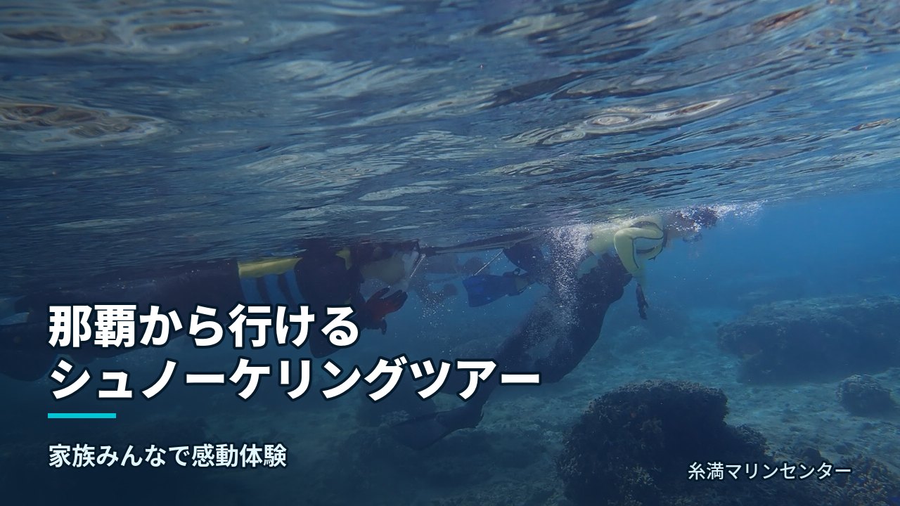 那覇から行けるシュノーケリングツアー|糸満マリンセンターの自然体験シュノーケル