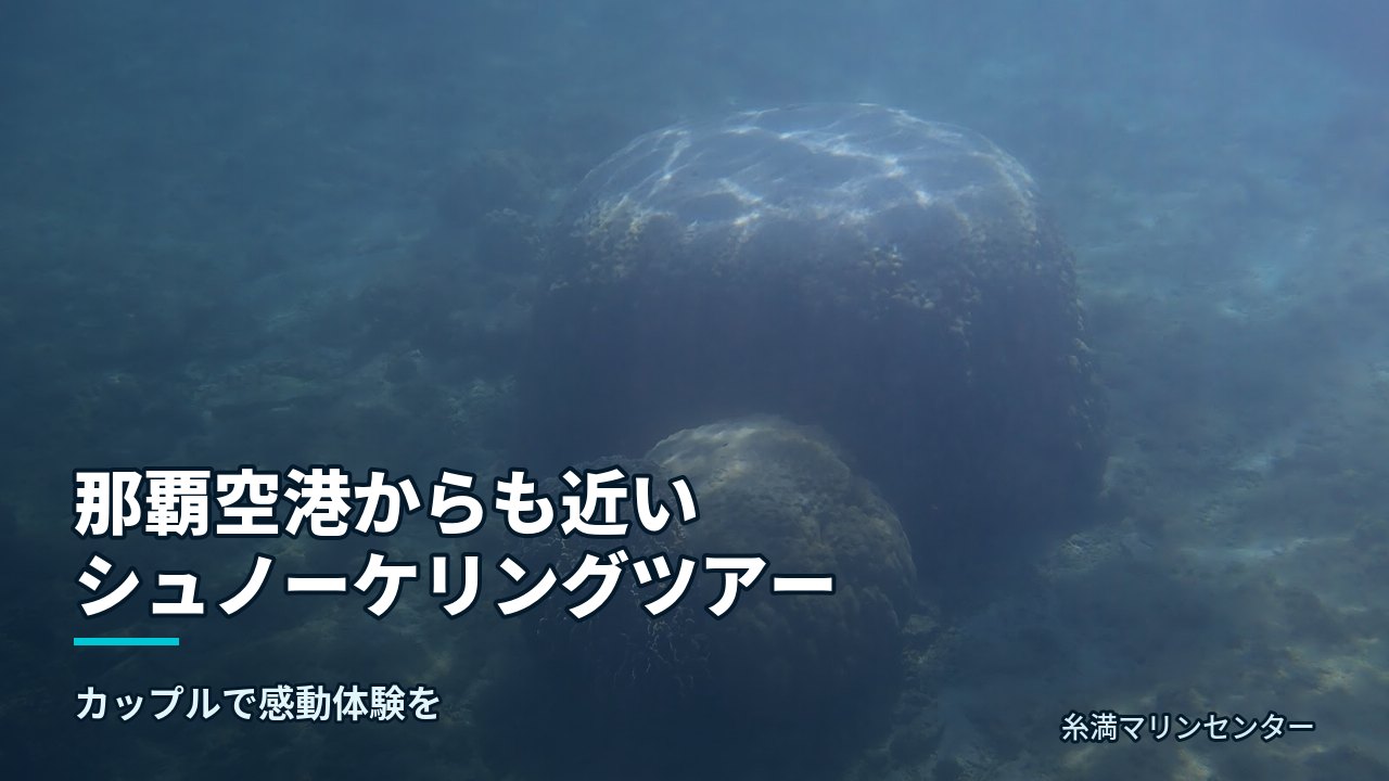 那覇空港からも近いシュノーケリングツアー｜糸満マリンセンターの自然体験シュノーケル