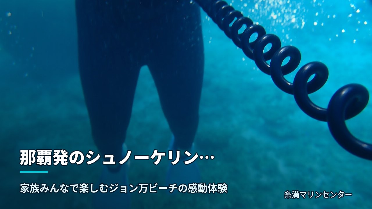 那覇発のシュノーケリングツアー|糸満マリンセンターの自然体験シュノーケル