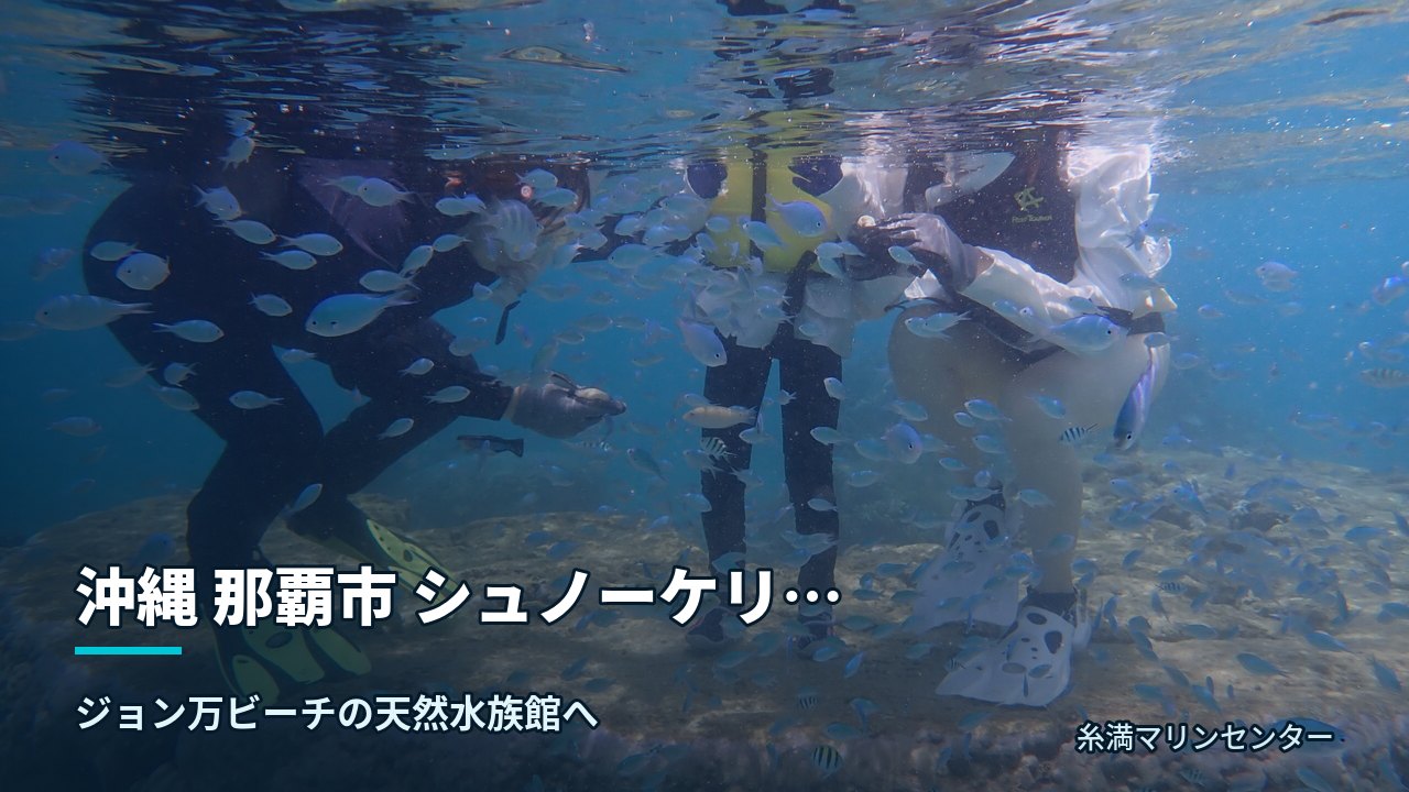 沖縄 那覇市 シュノーケリングで感動体験|糸満マリンセンターの自然体験シュノーケル