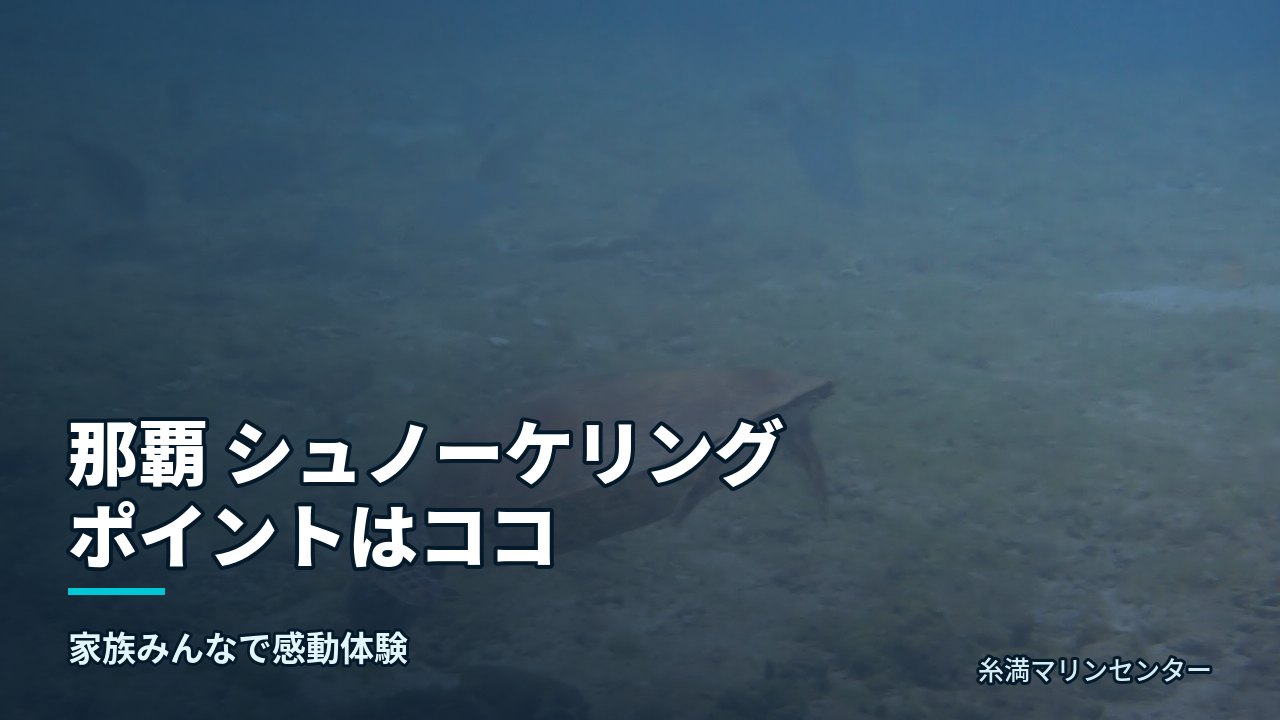 那覇 シュノーケリング ポイントはココ｜糸満マリンセンターの自然体験シュノーケル