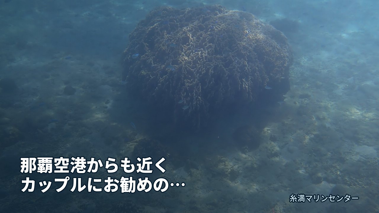 那覇空港からも近くカップルにお勧めのシュノーケリング｜糸満マリンセンターの自然体験シュノーケル