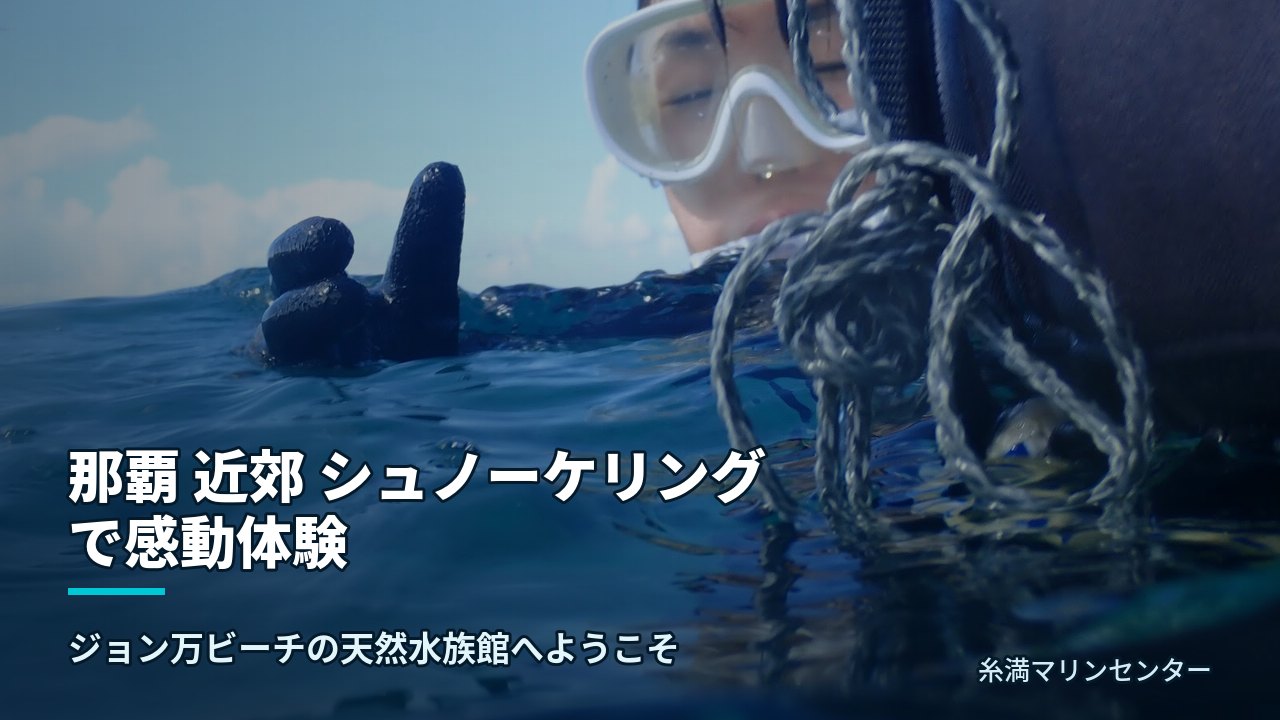 那覇 近郊 シュノーケリングで感動体験｜糸満マリンセンターの自然体験シュノーケル