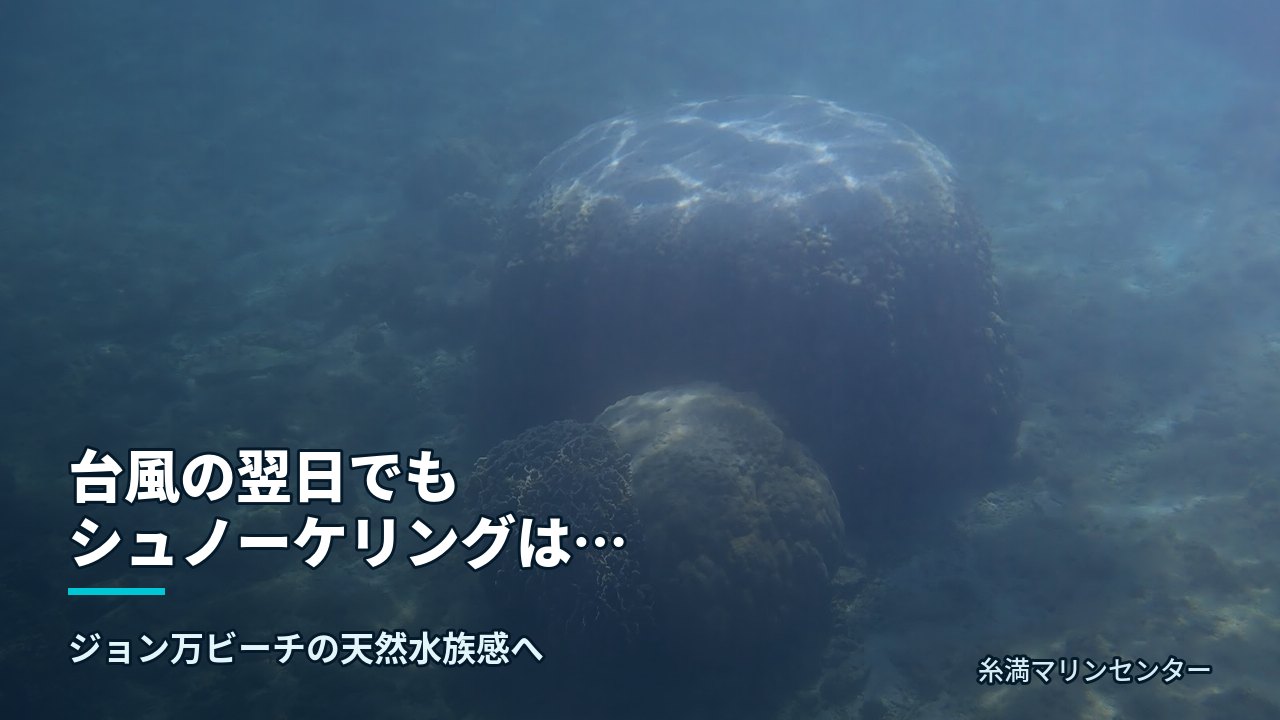 台風の翌日でもシュノーケリングは楽しめる｜糸満マリンセンターの自然体験シュノーケル