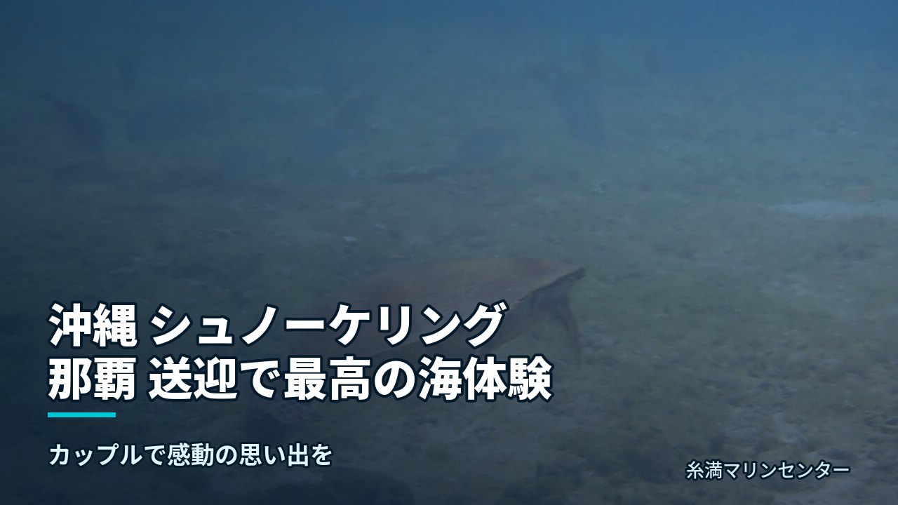 沖縄 シュノーケリング 那覇 送迎で最高の海体験｜糸満マリンセンターの自然体験シュノーケル