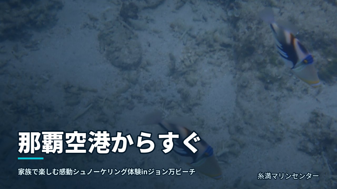 那覇空港からすぐ｜糸満マリンセンターの自然体験シュノーケル