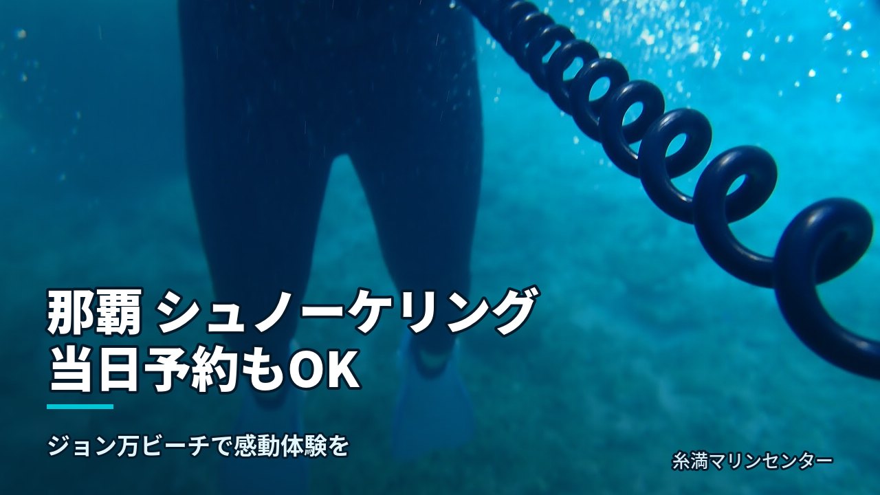 那覇 シュノーケリング 当日予約もOK|糸満マリンセンターの自然体験シュノーケル
