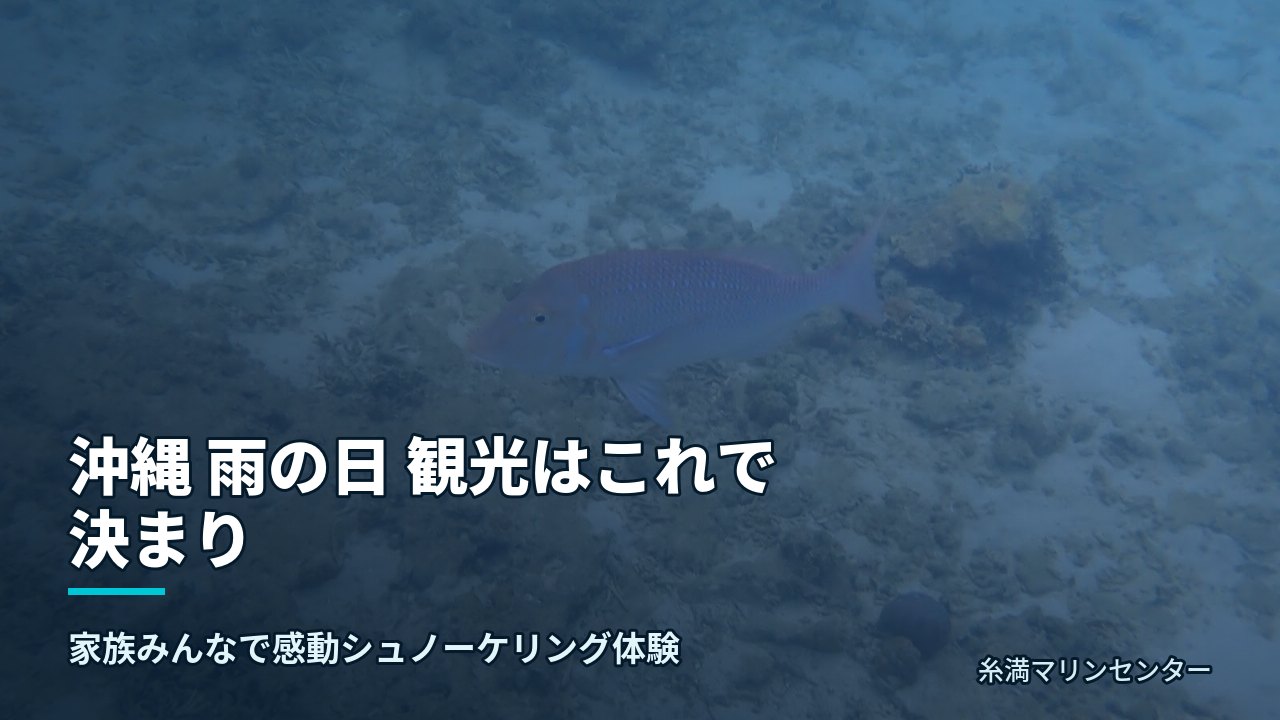 沖縄 雨の日 観光はこれで決まり|糸満マリンセンターの自然体験シュノーケル