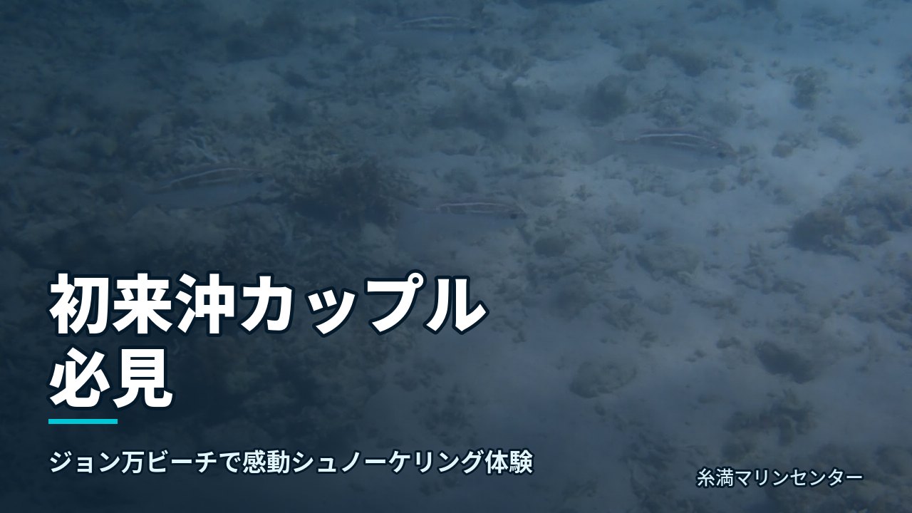 初来沖カップル必見｜糸満マリンセンターの自然体験シュノーケル