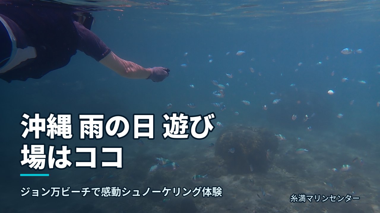 沖縄 雨の日 遊び場はココ|糸満マリンセンターの自然体験シュノーケル