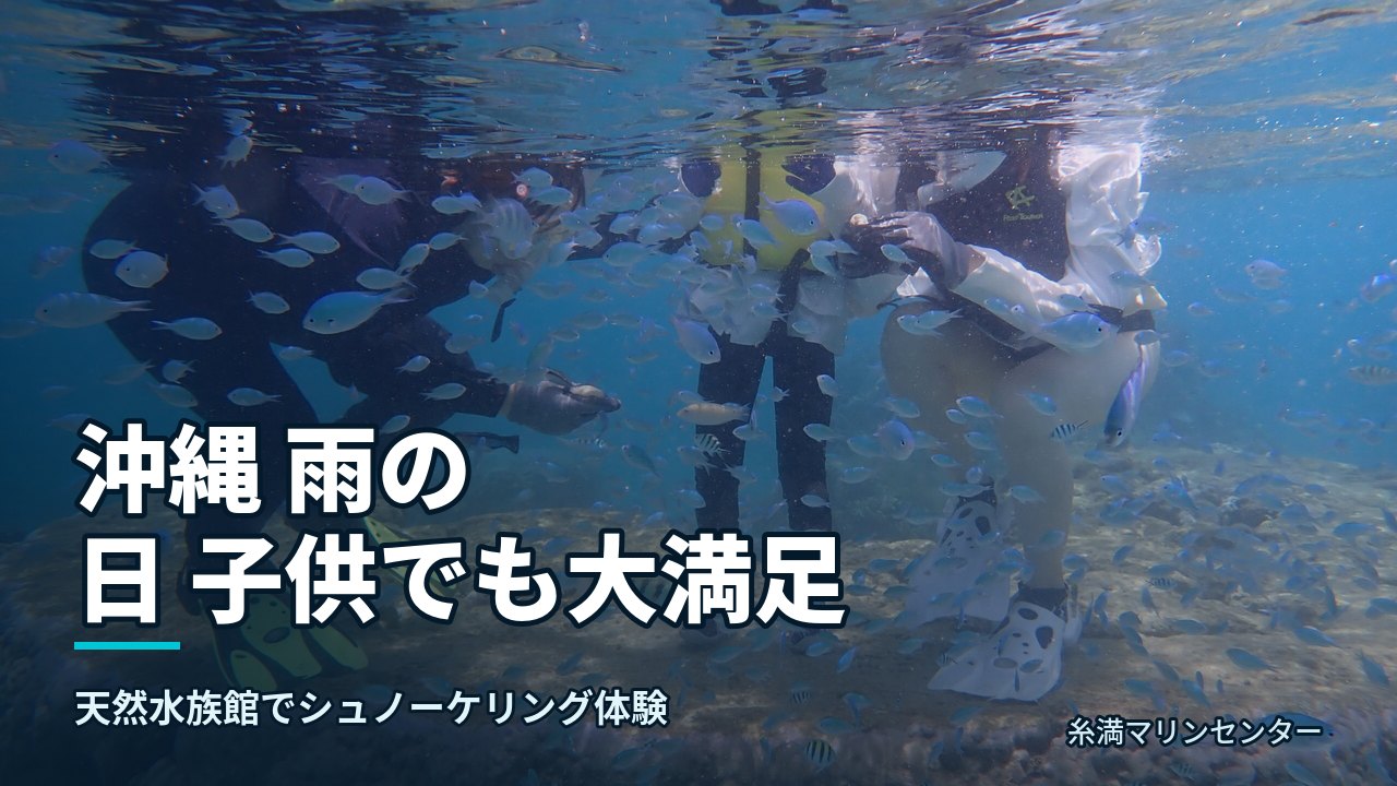 沖縄 雨の日 子供でも大満足|糸満マリンセンターの自然体験シュノーケル