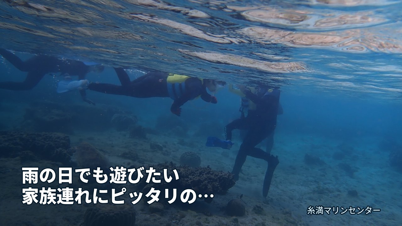 雨の日でも遊びたい家族連れにピッタリのアクティビティ|糸満マリンセンターの自然体験シュノーケル