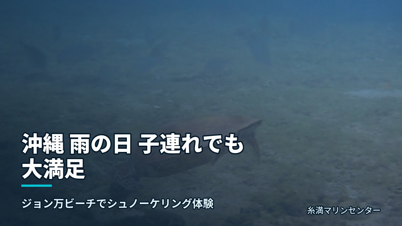 沖縄 雨の日 子連れでも大満足｜糸満マリンセンターの自然体験シュノーケル