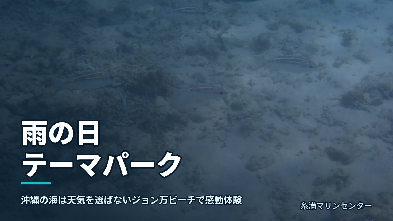 雨の日 テーマパーク｜糸満マリンセンターの自然体験シュノーケル