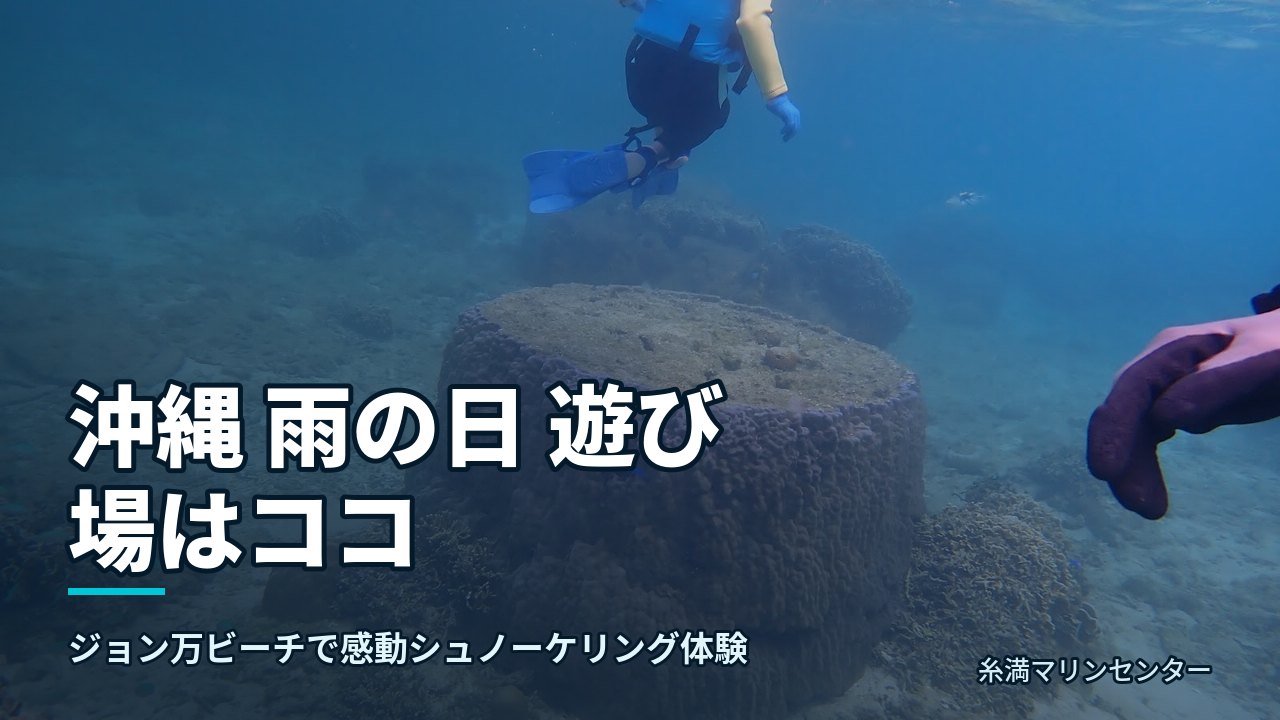 沖縄 雨の日 遊び場はココ|糸満マリンセンターの自然体験シュノーケル