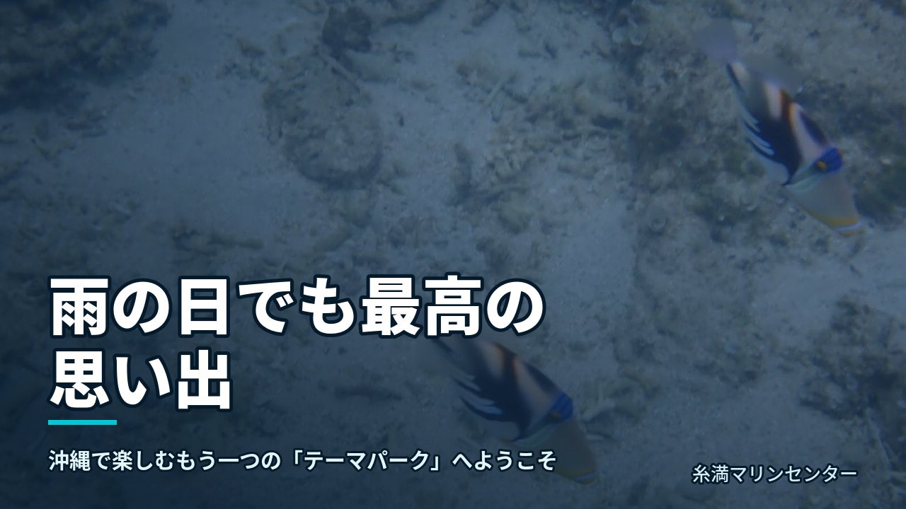 雨の日でも最高の思い出|糸満マリンセンターの自然体験シュノーケル