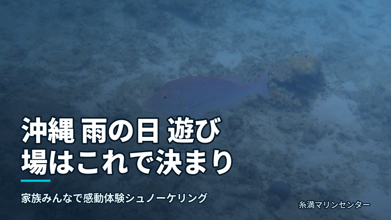 沖縄 雨の日 遊び場はこれで決まり|糸満マリンセンターの自然体験シュノーケル