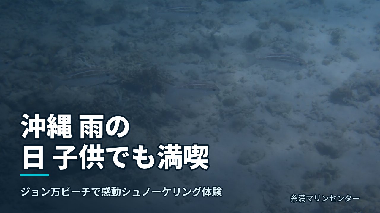 沖縄 雨の日 子供でも満喫|糸満マリンセンターの自然体験シュノーケル