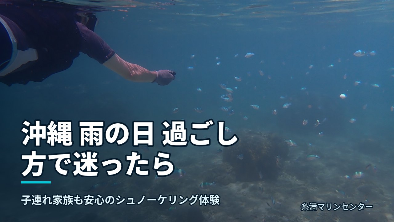 沖縄 雨の日 過ごし方で迷ったら|糸満マリンセンターの自然体験シュノーケル