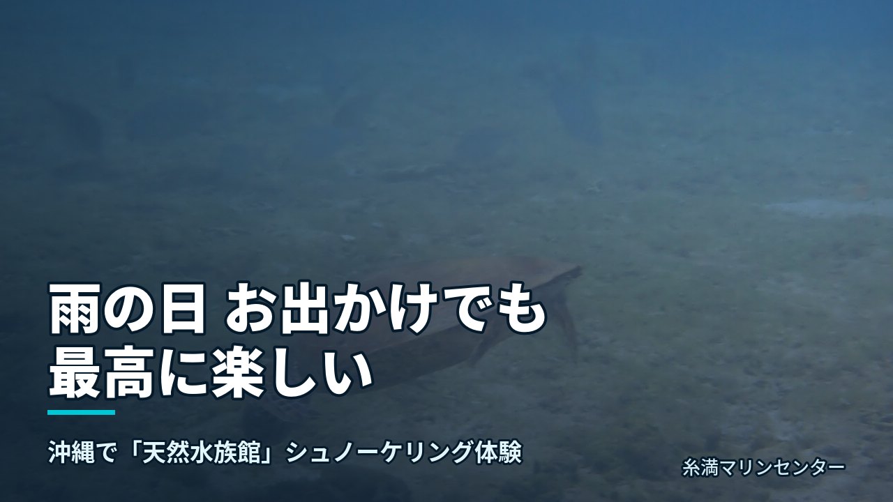 雨の日 お出かけでも最高に楽しい|糸満マリンセンターの自然体験シュノーケル