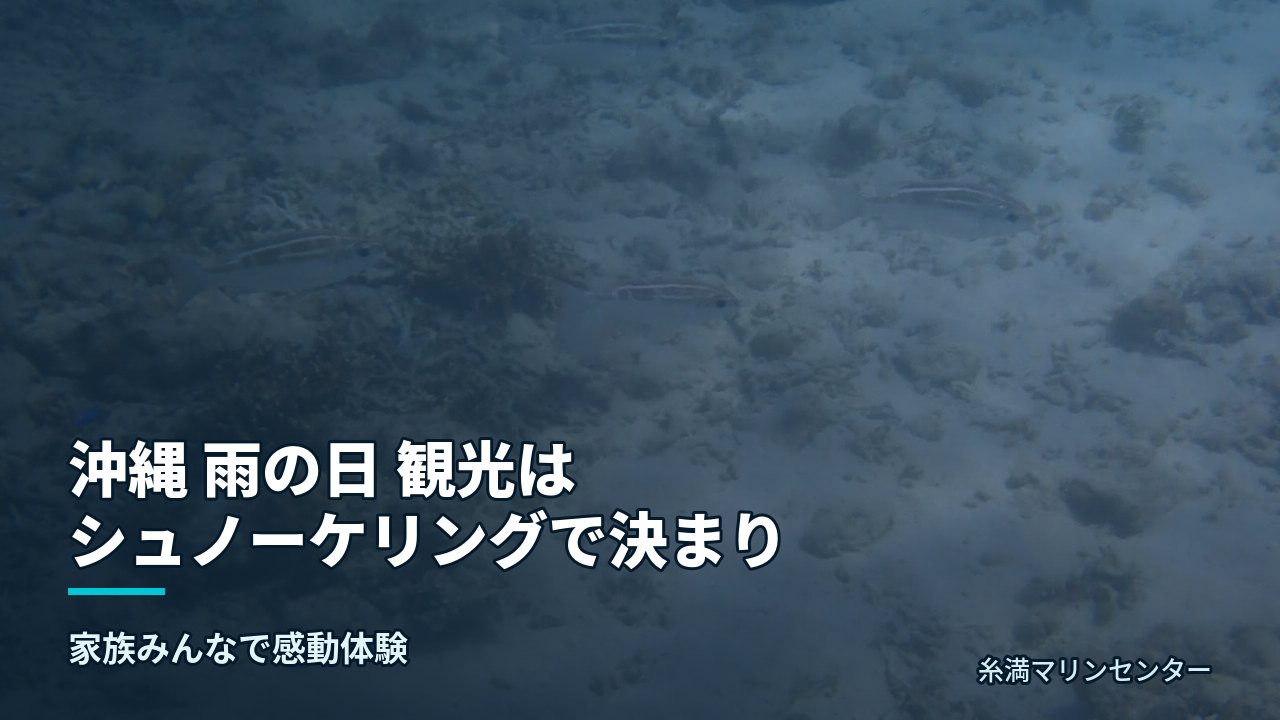 沖縄 雨の日 観光はシュノーケリングで決まり|糸満マリンセンターの自然体験シュノーケル