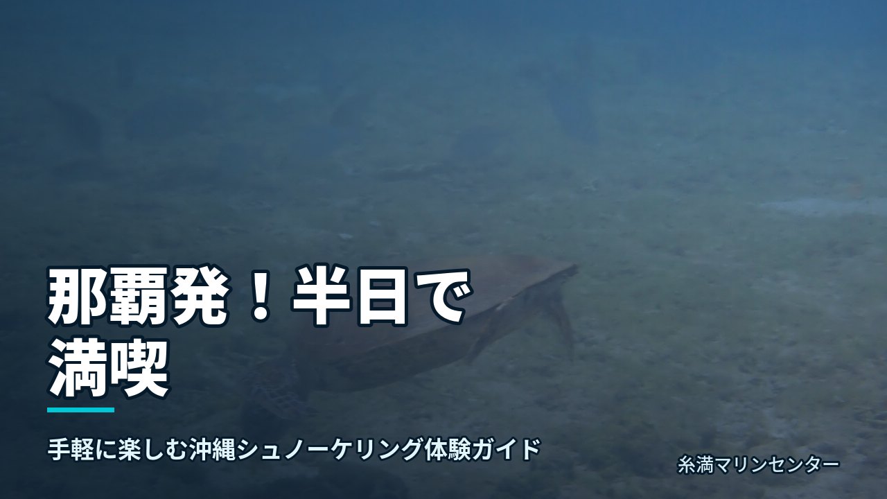 那覇発!半日で満喫|糸満マリンセンターの自然体験シュノーケル