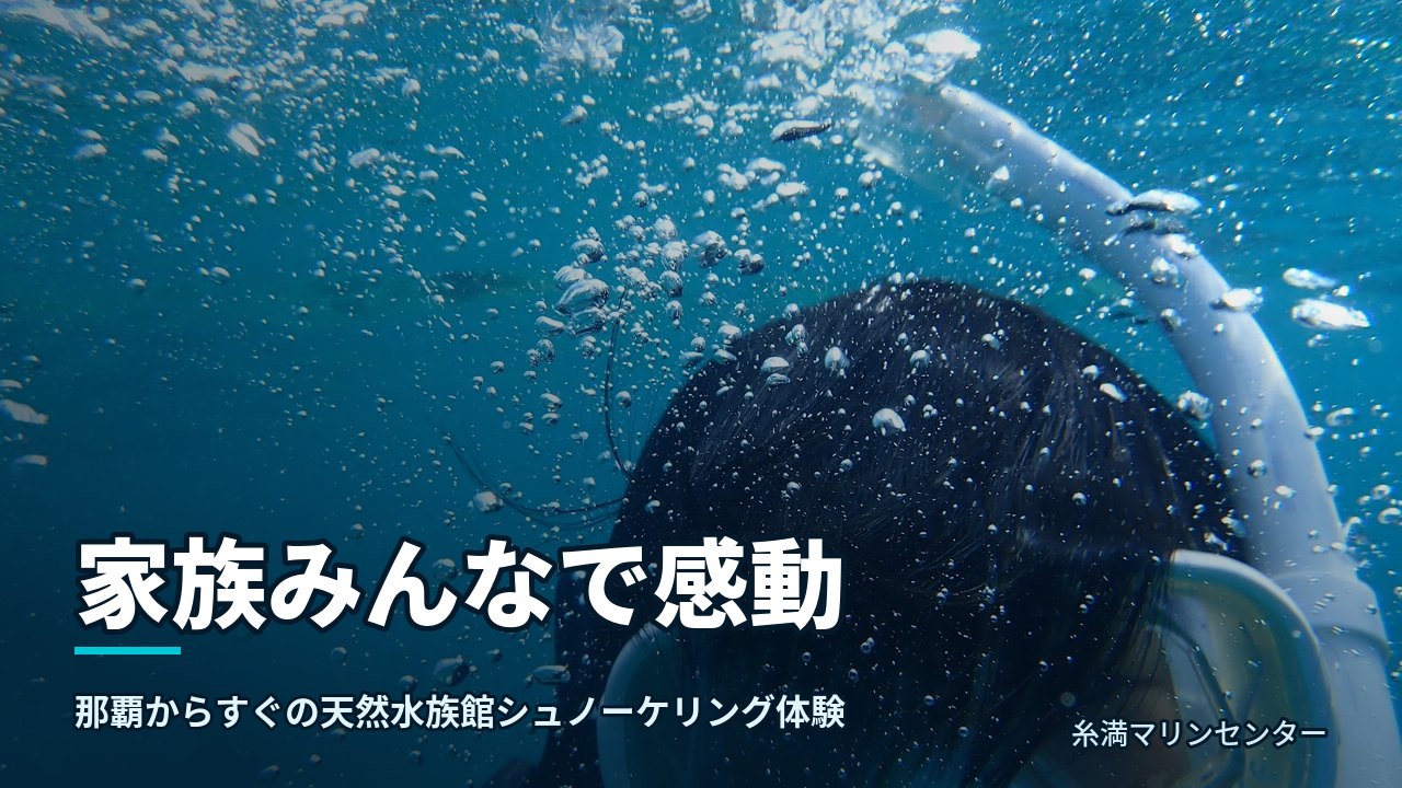 家族みんなで感動|糸満マリンセンターの自然体験シュノーケル