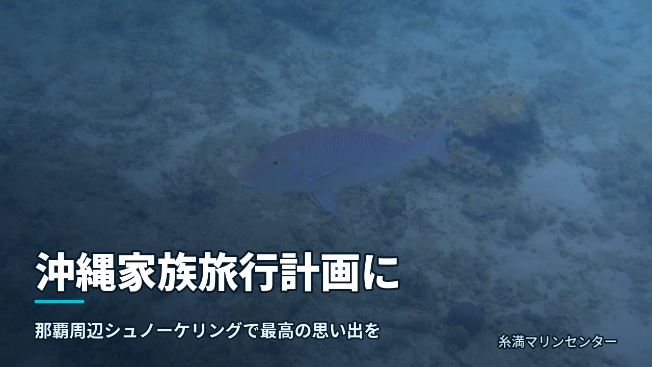 沖縄家族旅行計画に|糸満マリンセンターの自然体験シュノーケル