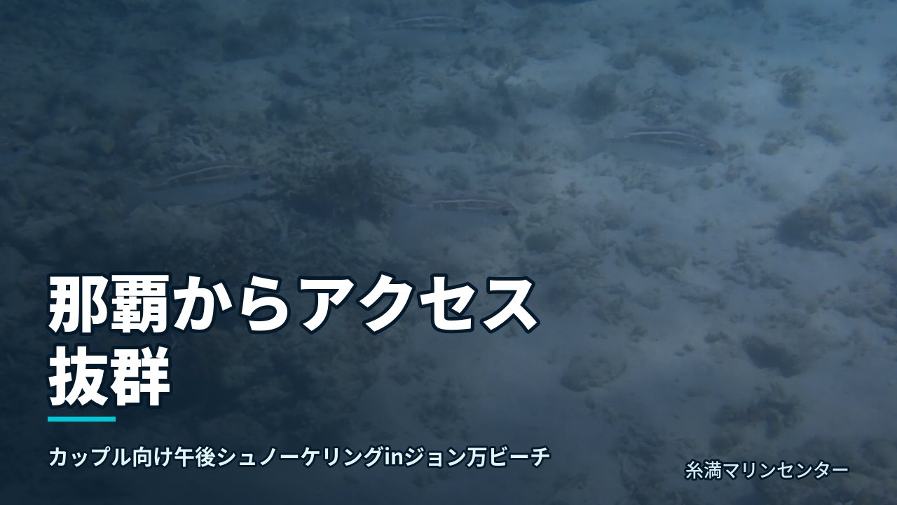 那覇からアクセス抜群｜糸満マリンセンターの自然体験シュノーケル