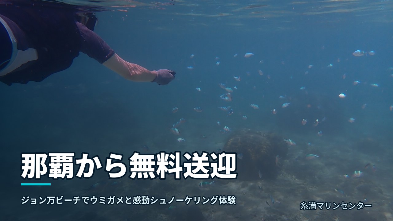那覇から無料送迎｜糸満マリンセンターの自然体験シュノーケル