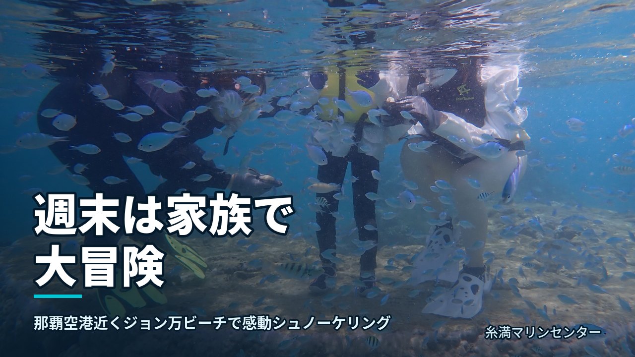 週末は家族で大冒険｜糸満マリンセンターの自然体験シュノーケル