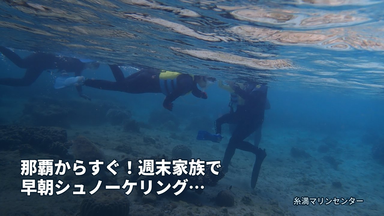 那覇からすぐ!週末家族で早朝シュノーケリング体験in|糸満マリンセンターの自然体験シュノーケル