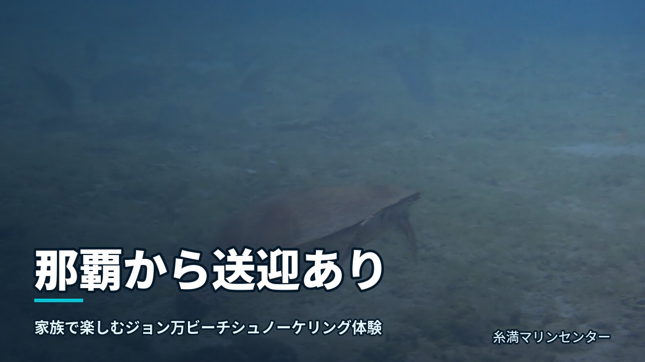 那覇から送迎あり｜糸満マリンセンターの自然体験シュノーケル
