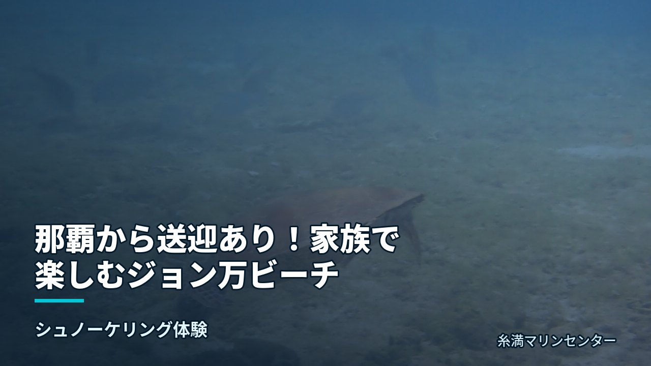 那覇から送迎あり!家族で楽しむジョン万ビーチ|糸満マリンセンターの自然体験シュノーケル