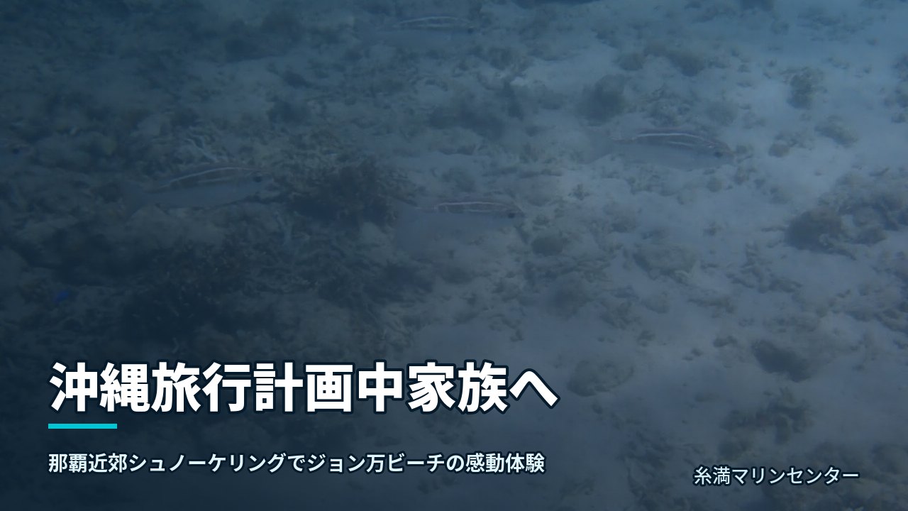 沖縄旅行計画中家族へ｜糸満マリンセンターの自然体験シュノーケル