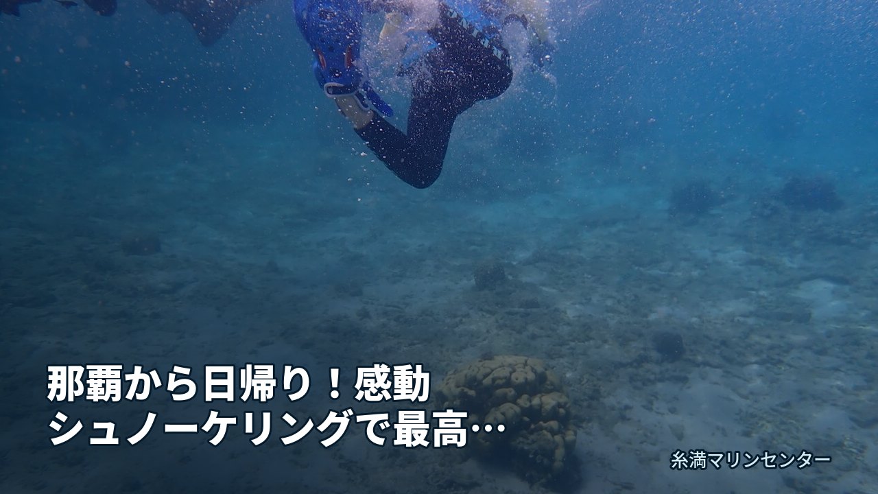 那覇から日帰り！感動シュノーケリングで最高の思い出を｜糸満マリンセンターの自然体験シュノーケル