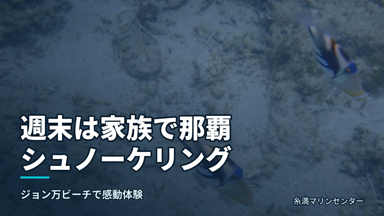 週末は家族で那覇シュノーケリング|糸満マリンセンターの自然体験シュノーケル