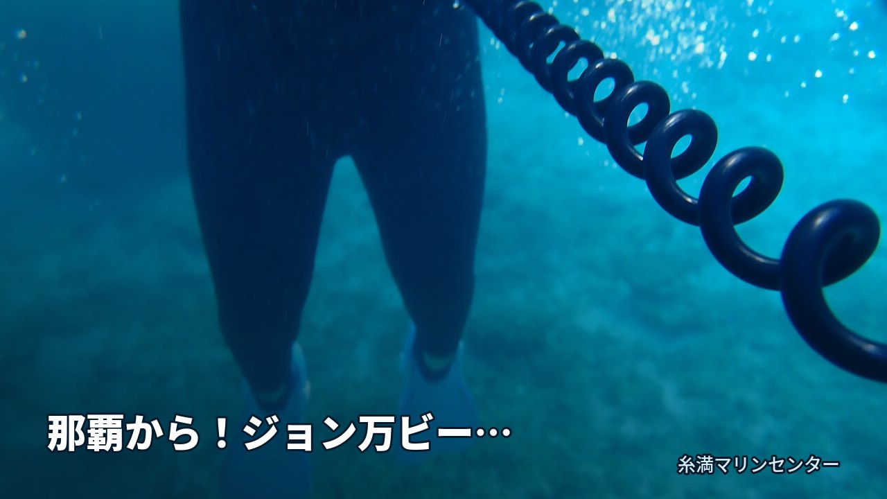 那覇から！ジョン万ビーチで当日予約シュノーケリング｜糸満マリンセンターの自然体験シュノーケル